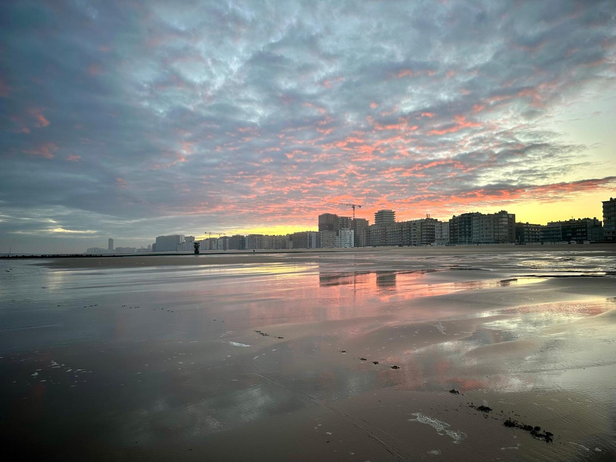 Oostende Luxury Seaview Studio - Large Terrace- Swimming Pool - Parking Exterior foto